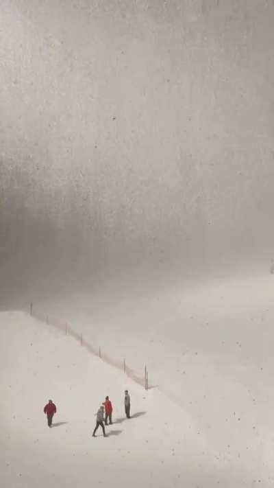 Snowfall Beneath the Peaceful Glow of Light Poles