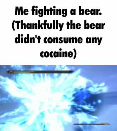 Funny bear film.