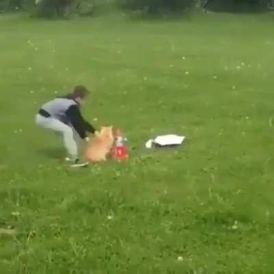 Wunkus gets saved from life threatening bomb