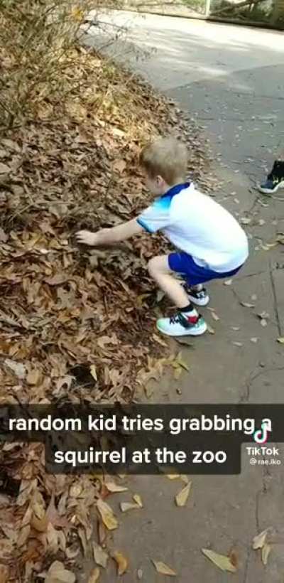 Kid tries to pick up a squirrel