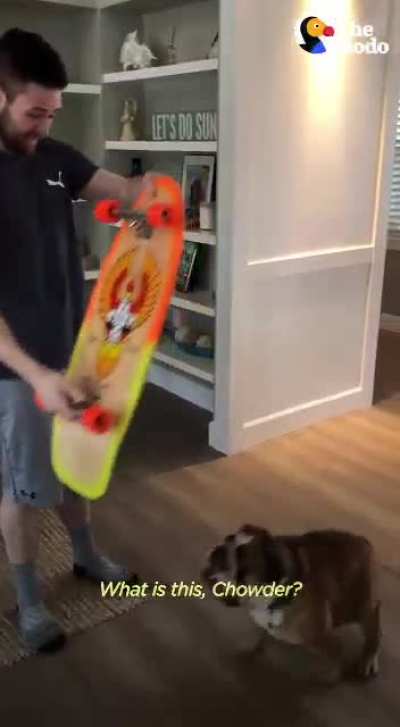 We&rsquo;re teaching him how to surf next! 🌮