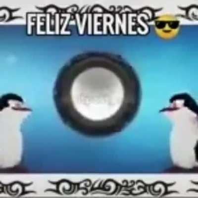 Feliz viernes 😎