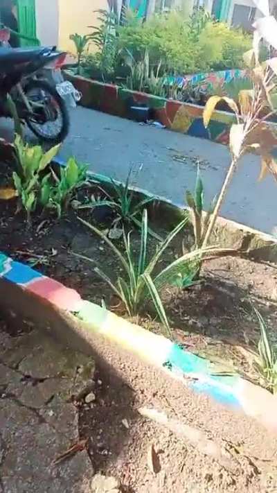 Tanginang mga NPA yan. This happened somewhere in Masbate.