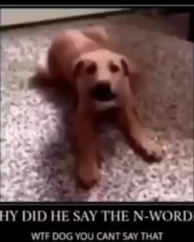 NOOOO