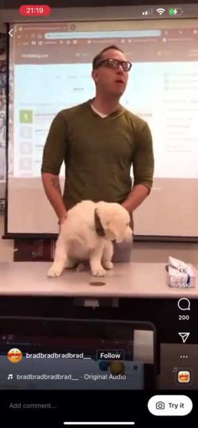 Buck the vocab dog