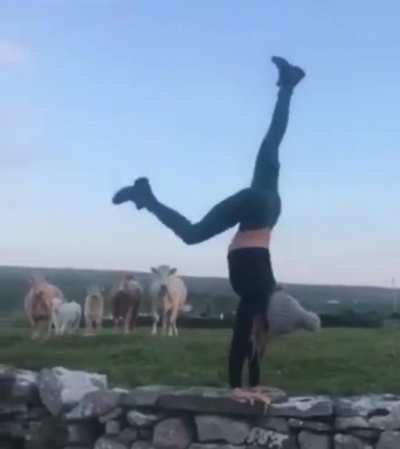 Humans are fucking weird mate