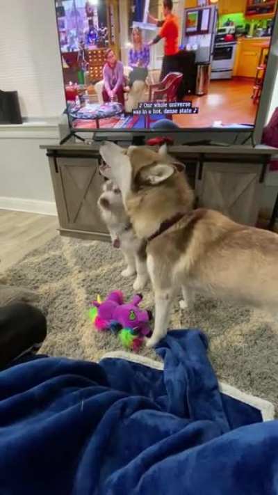 Arguing over their toys 🤷🏻&zwj;♀️