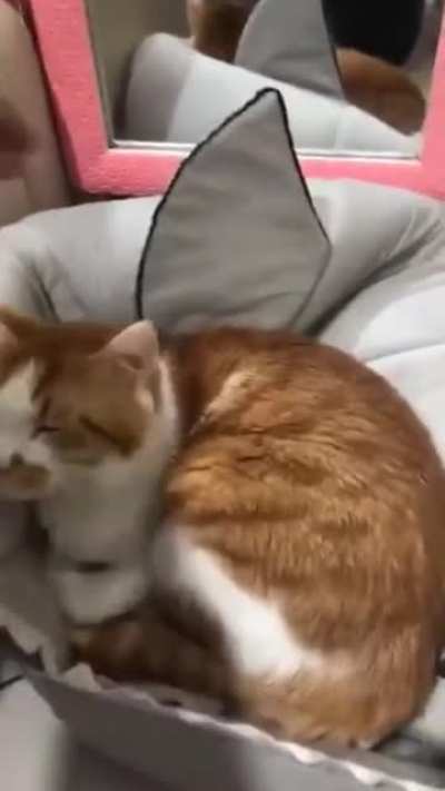 Nothing to see here
