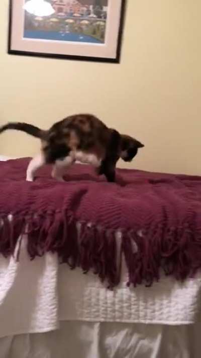 This is Carly. She&rsquo;s 19, but look at her go!!