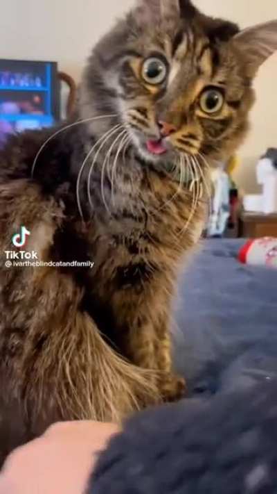 Derp scratches