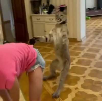 Gonna Git Cha!