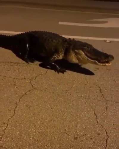 Florida