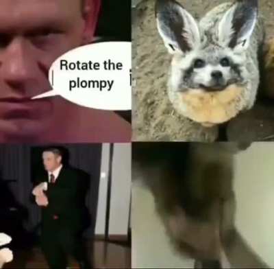 Rule