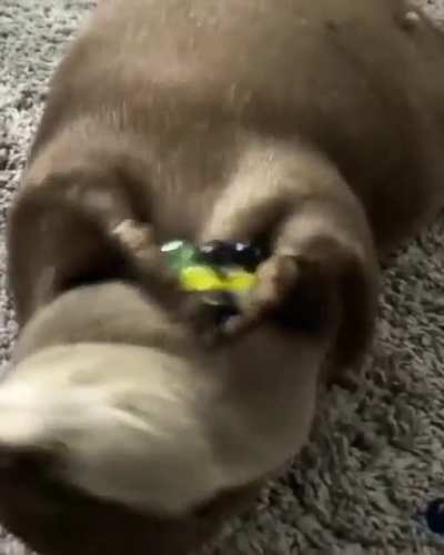 How they played with the marbles is adorable.
