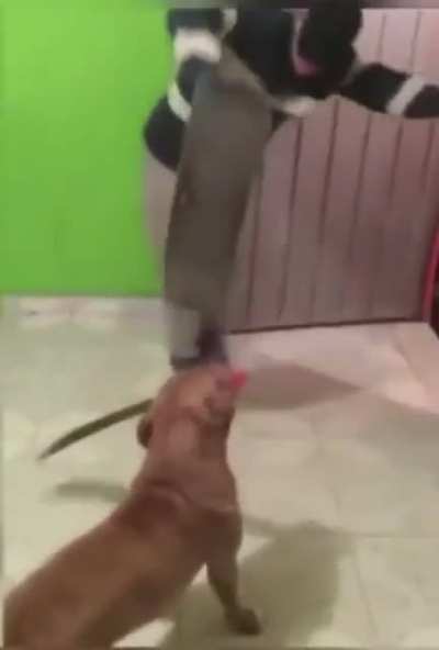 Even Caesar Millan won&rsquo;t dare
