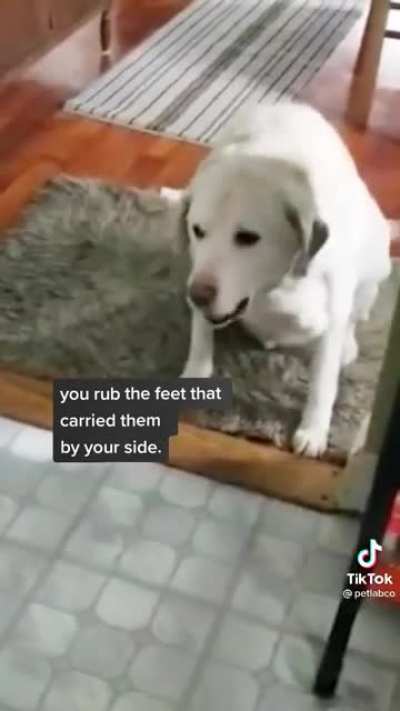 Great now I&rsquo;m sad