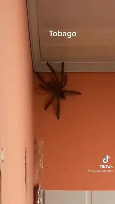 Keep the house, grab nothing we&rsquo;re moving in 30 seconds