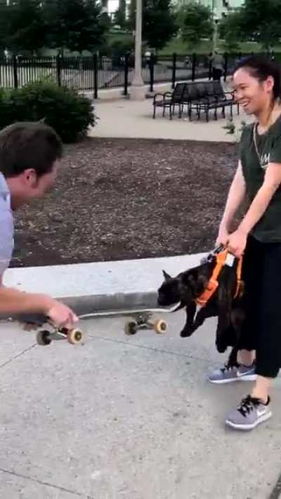 This is Pumpkin&rsquo;s skateboard now
