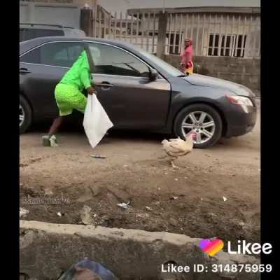 To steal a hen