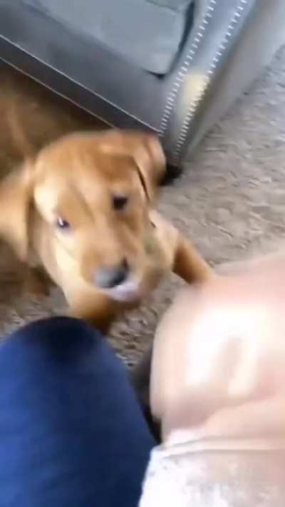 How dare you say no to me