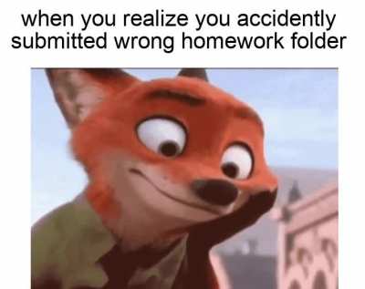 what do i do now