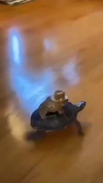 ich🐸iel