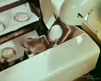 Making breads