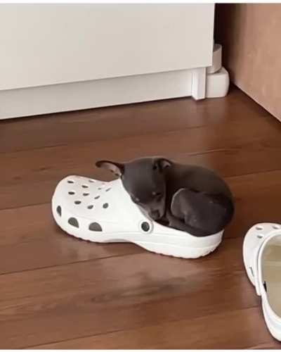the best way to make use of Crocs