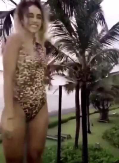 Cheetah print