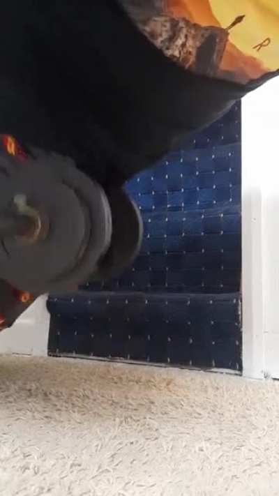 Já malharam hoje?