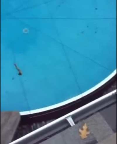 Leap of faith