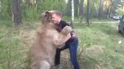 Russian guy plays with bear