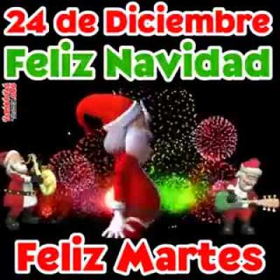 Felis martes lisensiados🥳🥳🥳🥳