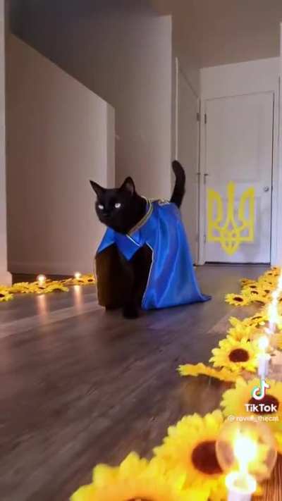 SLAVA UKRAINI