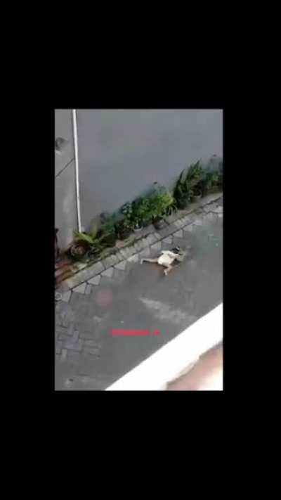 monkey arrives on bicycle, and kidnaps a kid🐒🚴🏻&zwj;♂️