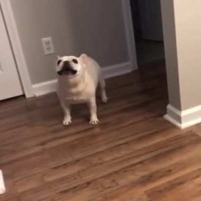 It's just a little holiday weight