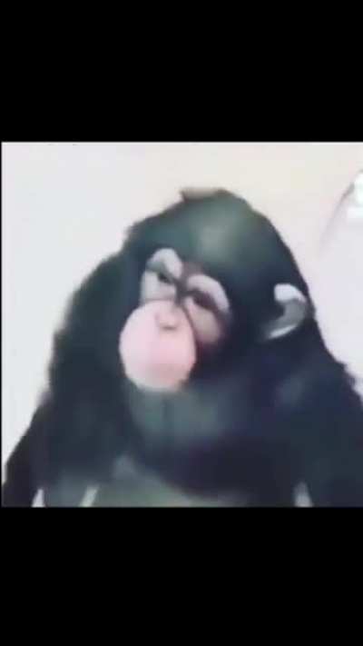 Monke