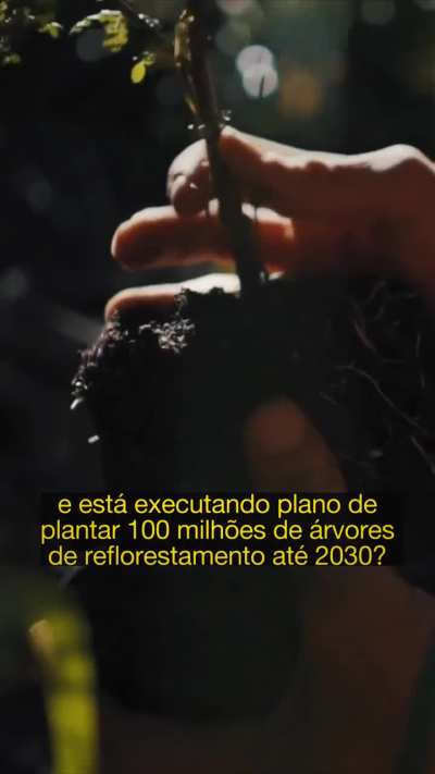 Quem est&aacute; reflorestando o Brasil?