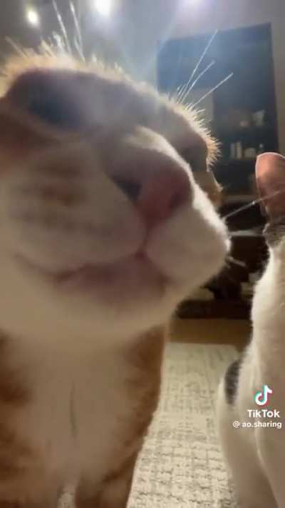 this wunk&rsquo;s breath STINKS