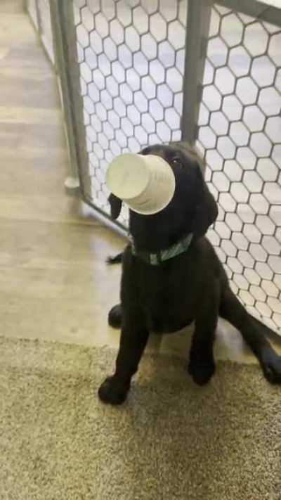Clumsy boi
