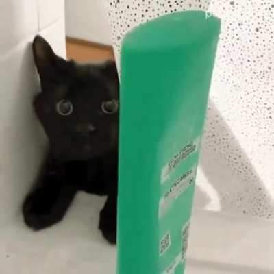 Fuck you and your fucking shampoo