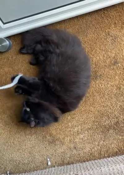 It&rsquo;s just fluff!