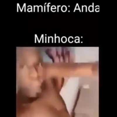 Minhocas s&atilde;o foda.