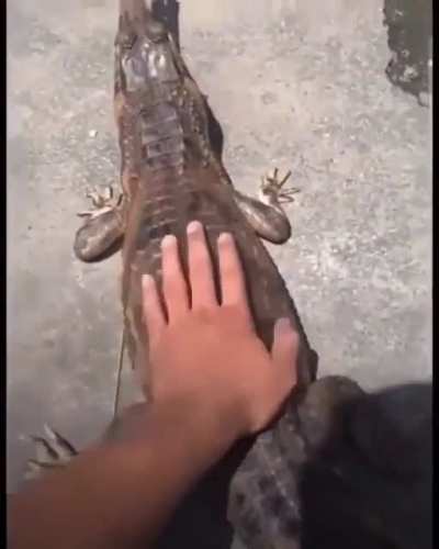 buen perrito...