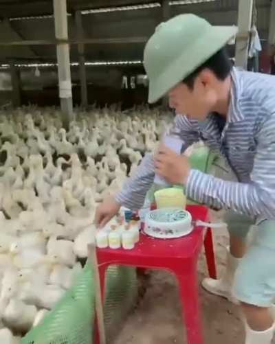 Duck event