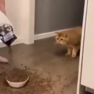 EAT!!!!!!!!!!
