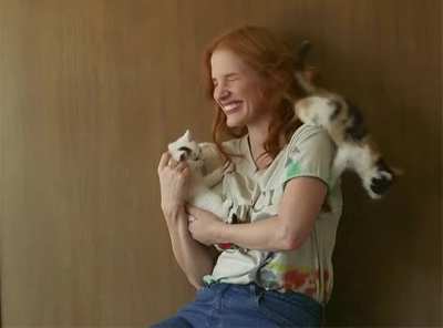 Cats