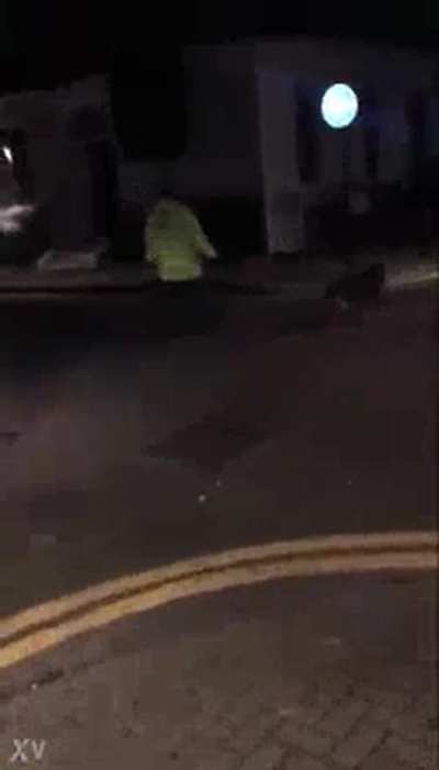 Caught blowjob at night