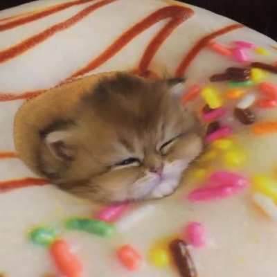 One cute little donut