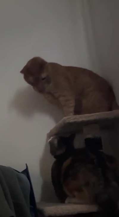 Smalls sometimes forgets he is missing an arm